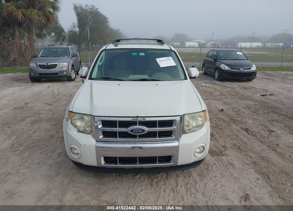 2010 FORD ESCAPE LIMITED VIN: 1FMCU0EGXAKD30981