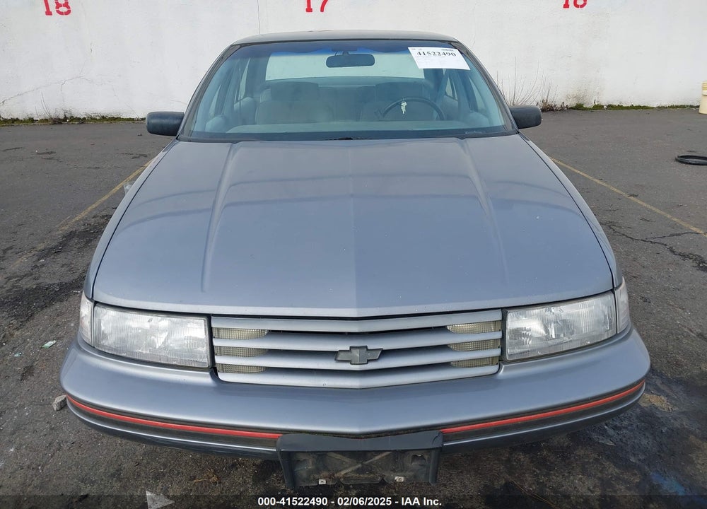 1991 CHEVROLET LUMINA EURO VIN: 2G1WN54T8M9167823