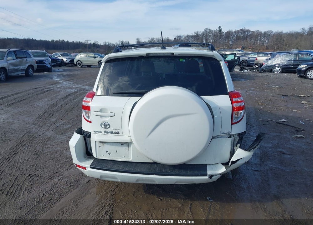 2010 TOYOTA RAV4 VIN: 2T3BF4DV0AW054612