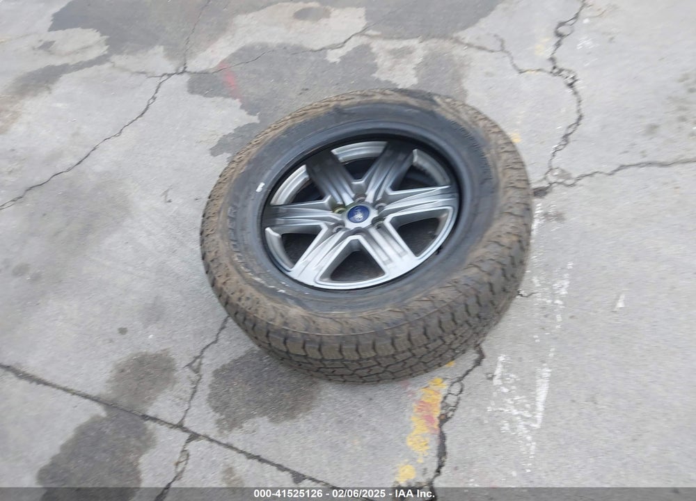 2019 FORD F-150 VIN: 1FTEW1E47KKC36416