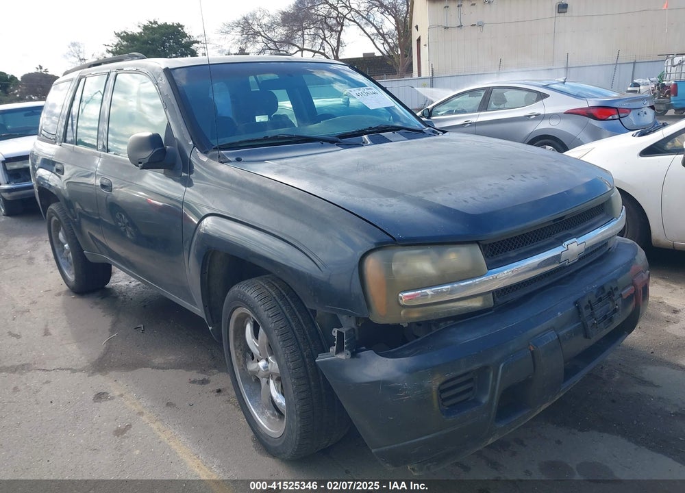 2003 CHEVROLET TRAILBLAZER LS VIN: 1GNDS13S632411983