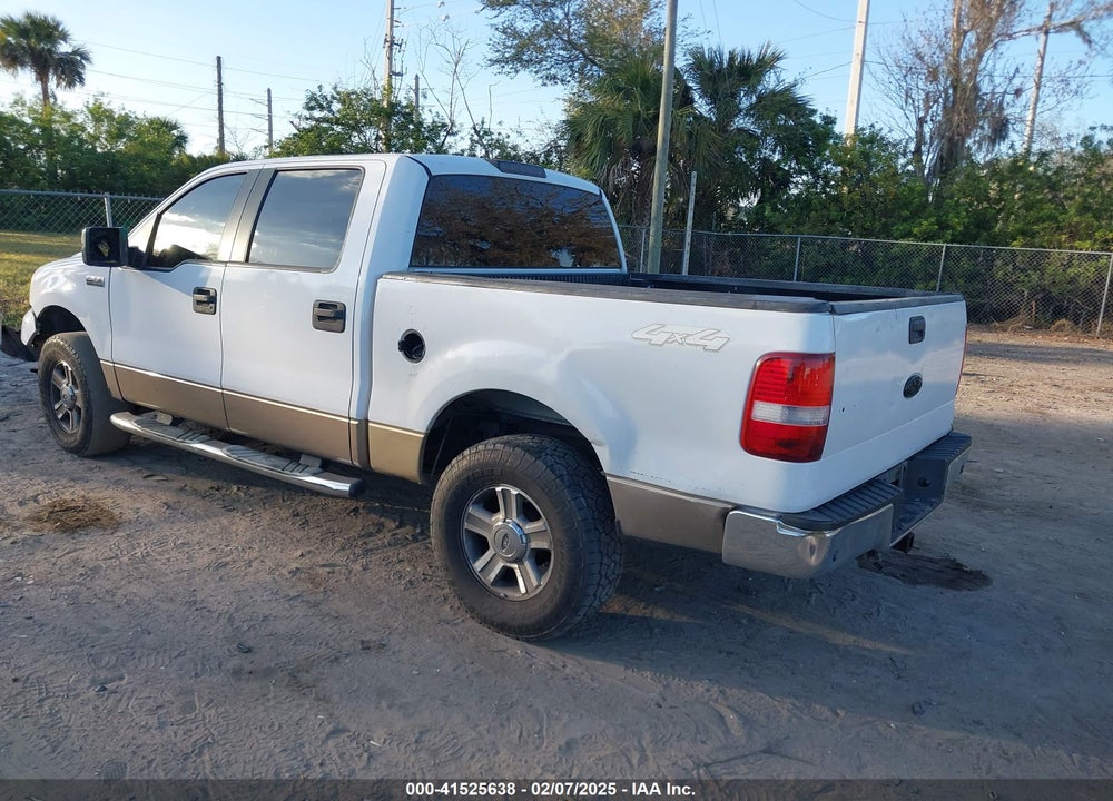 2006 FORD F-150 VIN: 1FTPW14V96KD22061