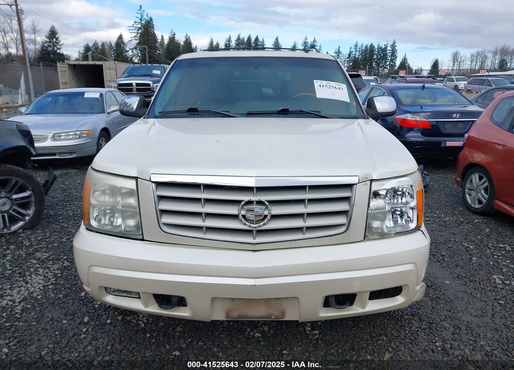 2002 CADILLAC ESCALADE STANDARD VIN: 1GYEK63N32R163874