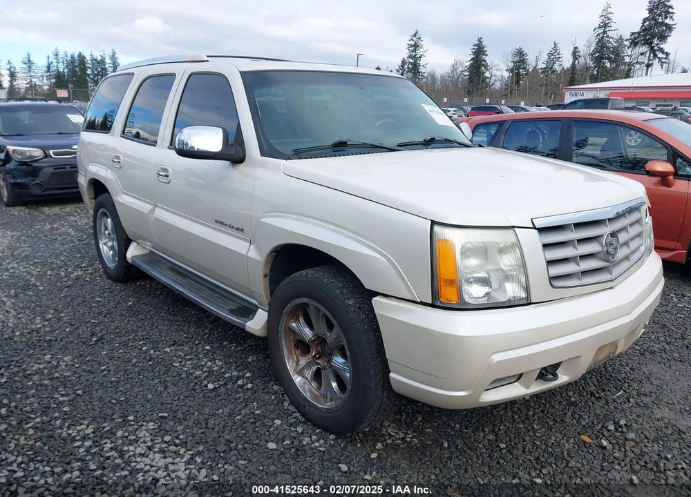 2002 CADILLAC ESCALADE STANDARD VIN: 1GYEK63N32R163874
