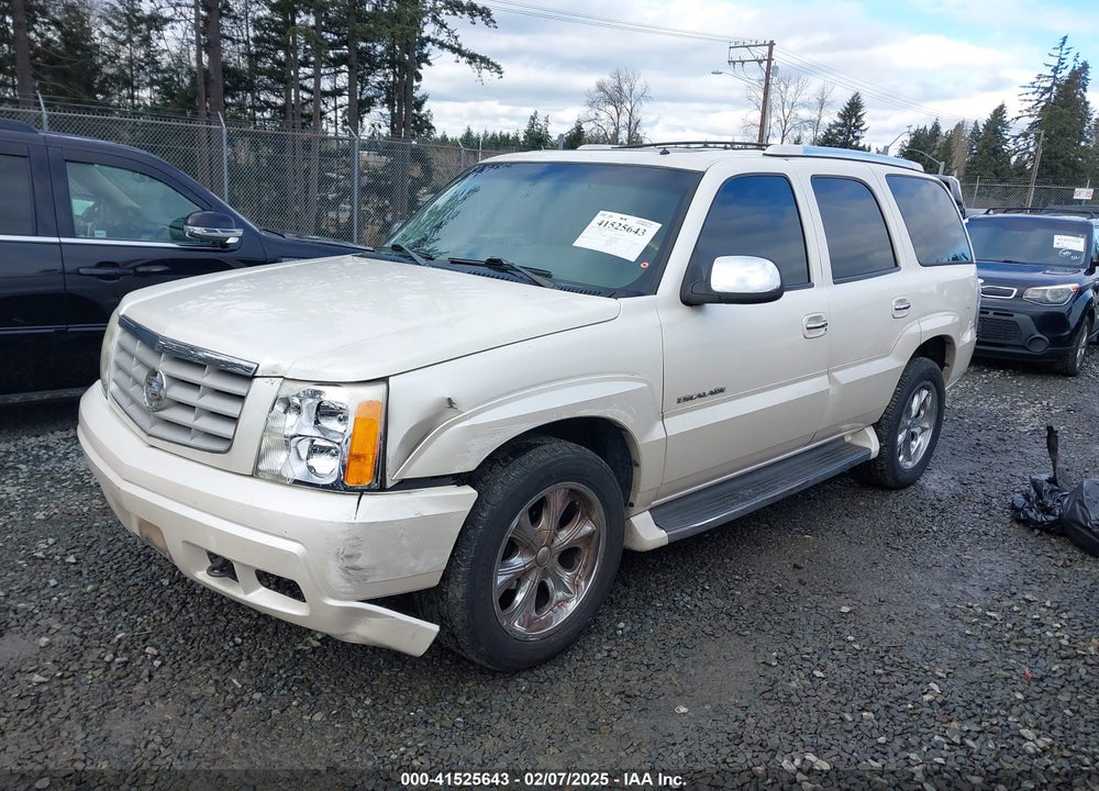 2002 CADILLAC ESCALADE STANDARD VIN: 1GYEK63N32R163874