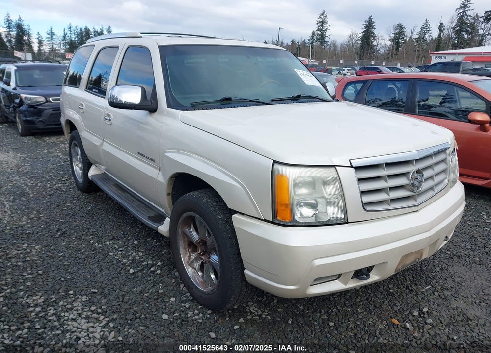 2002 CADILLAC ESCALADE STANDARD VIN: 1GYEK63N32R163874