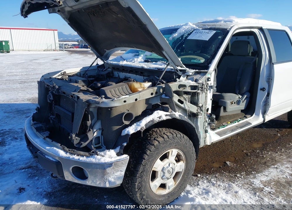 2011 FORD F-150 VIN: 1FTFW1EF0BKD79746