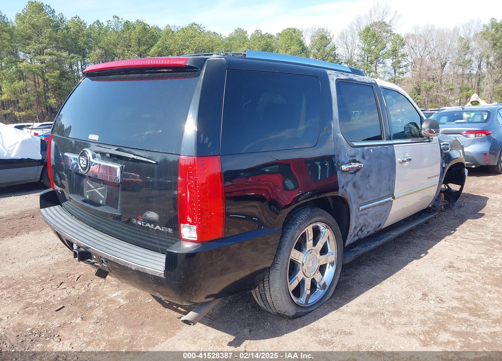 2009 CADILLAC ESCALADE HYBRID STANDARD VIN: 1GYFC43529R119641
