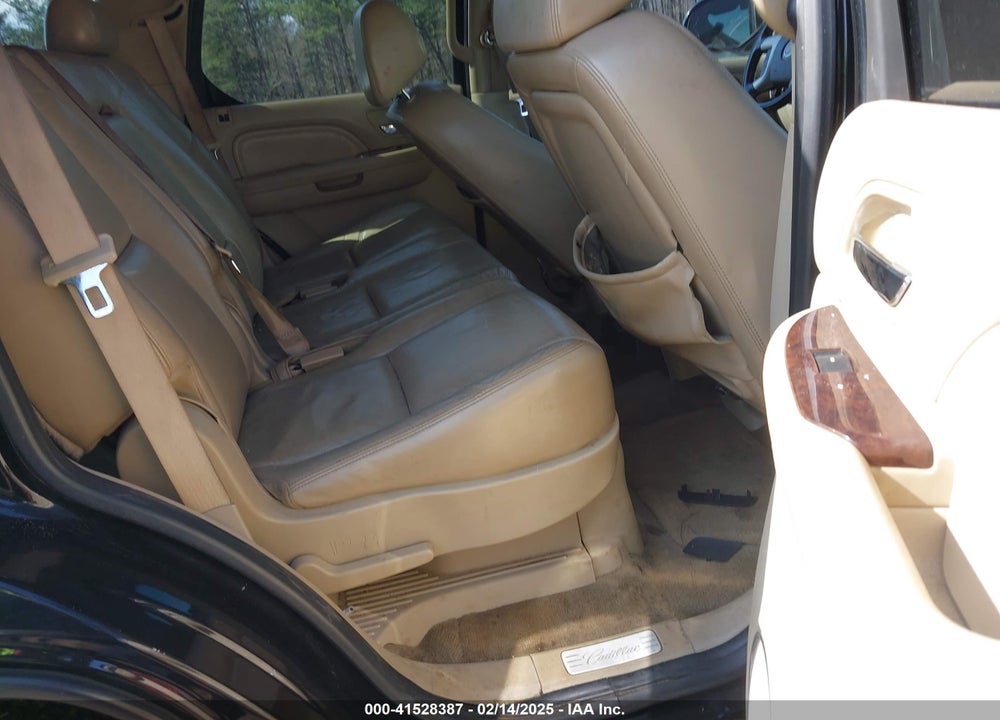 2009 CADILLAC ESCALADE HYBRID STANDARD VIN: 1GYFC43529R119641
