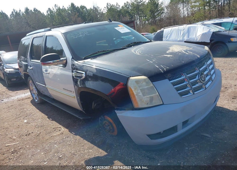 2009 CADILLAC ESCALADE HYBRID STANDARD VIN: 1GYFC43529R119641