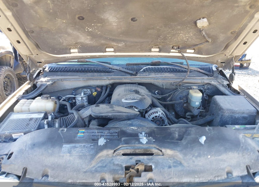 2002 CHEVROLET SILVERADO 1500 LS VIN: 1GCEK19V92E228430