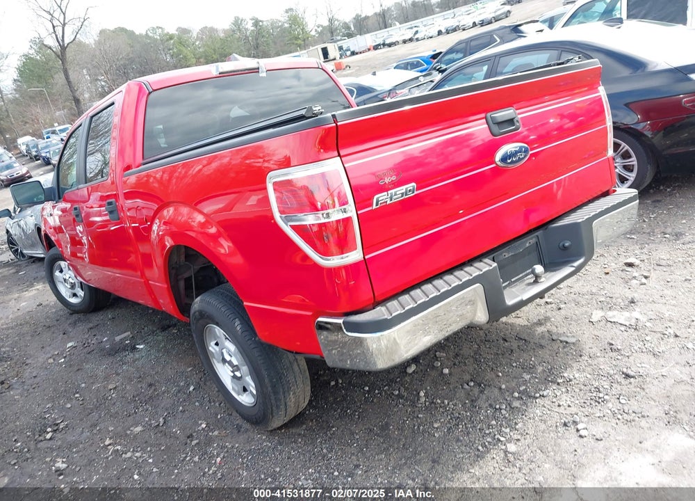 2010 FORD F-150 VIN: 1FTEW1C86AFA60987