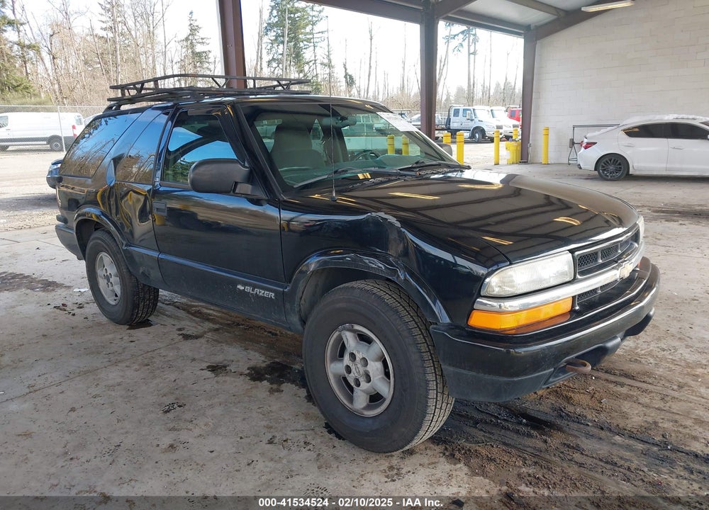 1999 CHEVROLET BLAZER LS VIN: 1GNCT18W3XK216840