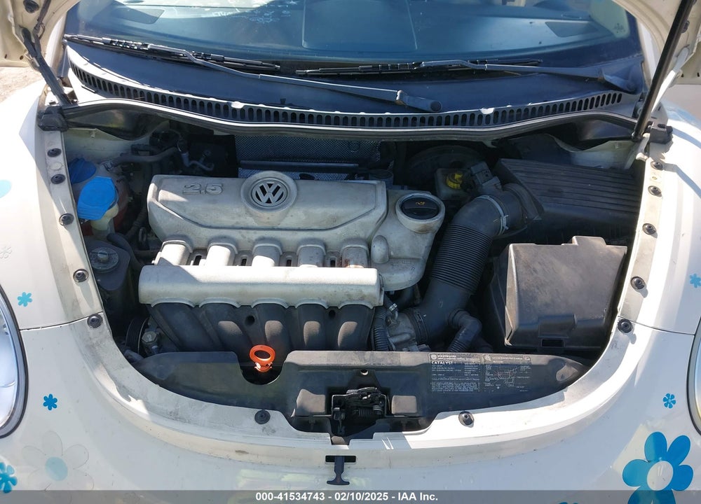 2006 VOLKSWAGEN NEW BEETLE VIN: 3VWSG31CX6M409205