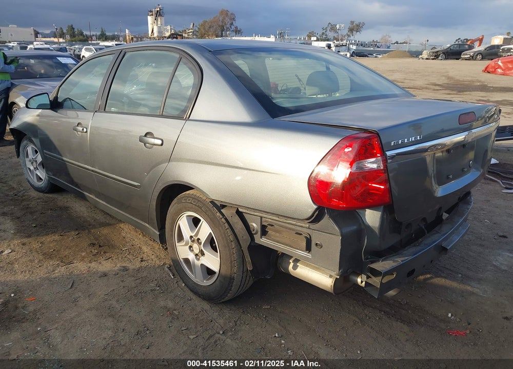 2004 CHEVROLET MALIBU VIN: 1G1ZT54854F243231
