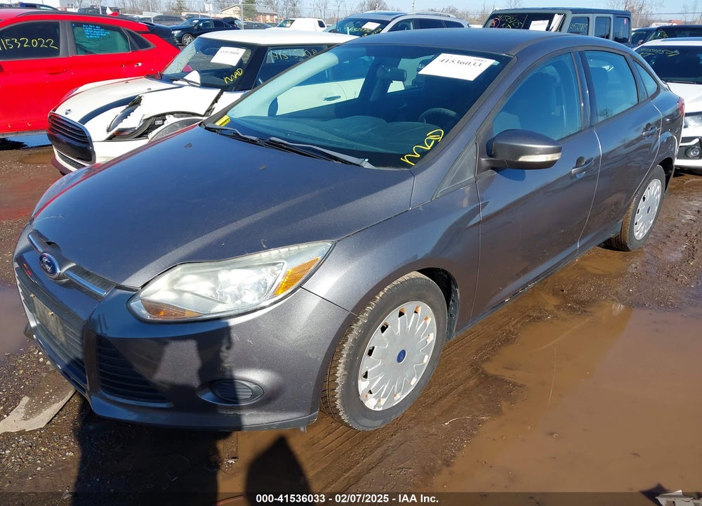 2013 FORD FOCUS VIN: 1FADP3F26DL261814
