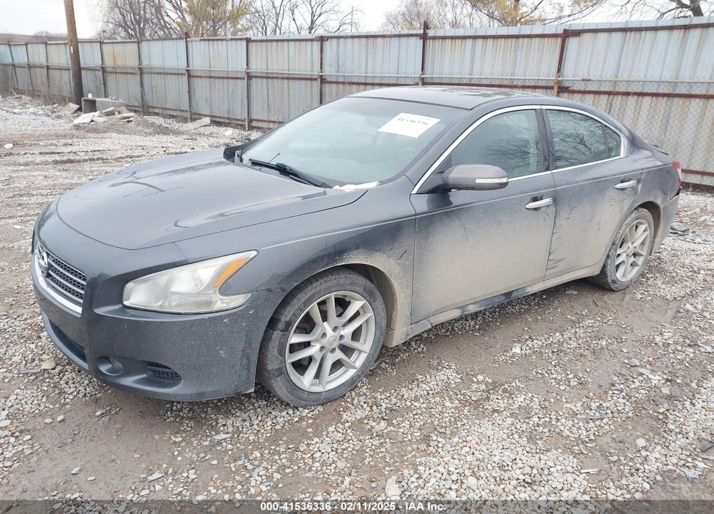 2011 NISSAN MAXIMA VIN: 1N4AA5APXBC819373