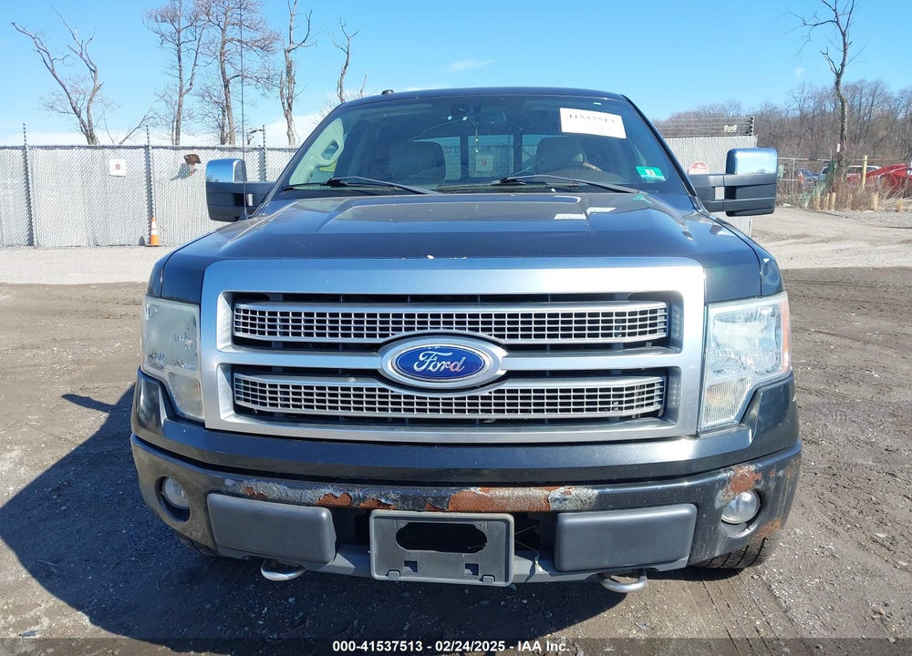 2010 FORD F150 VIN: 1FTFW1EV8AFB54702