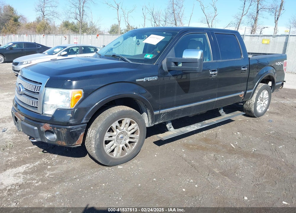 2010 FORD F150 VIN: 1FTFW1EV8AFB54702
