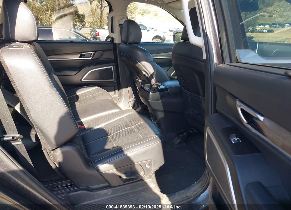2020 KIA TELLURIDE VIN: 5XYP3DHC9LG030219