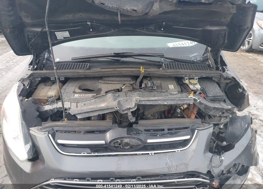 2016 FORD C-MAX VIN: 1FADP5AU4GL100578