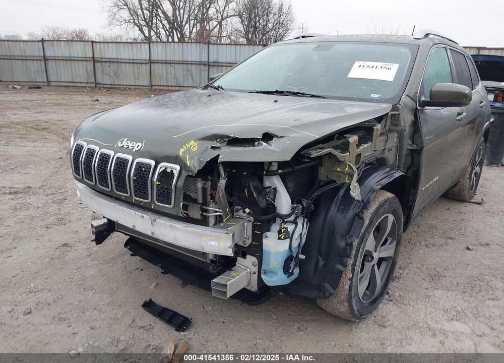 2019 JEEP CHEROKEE VIN: 1C4PJMDX1KD236176