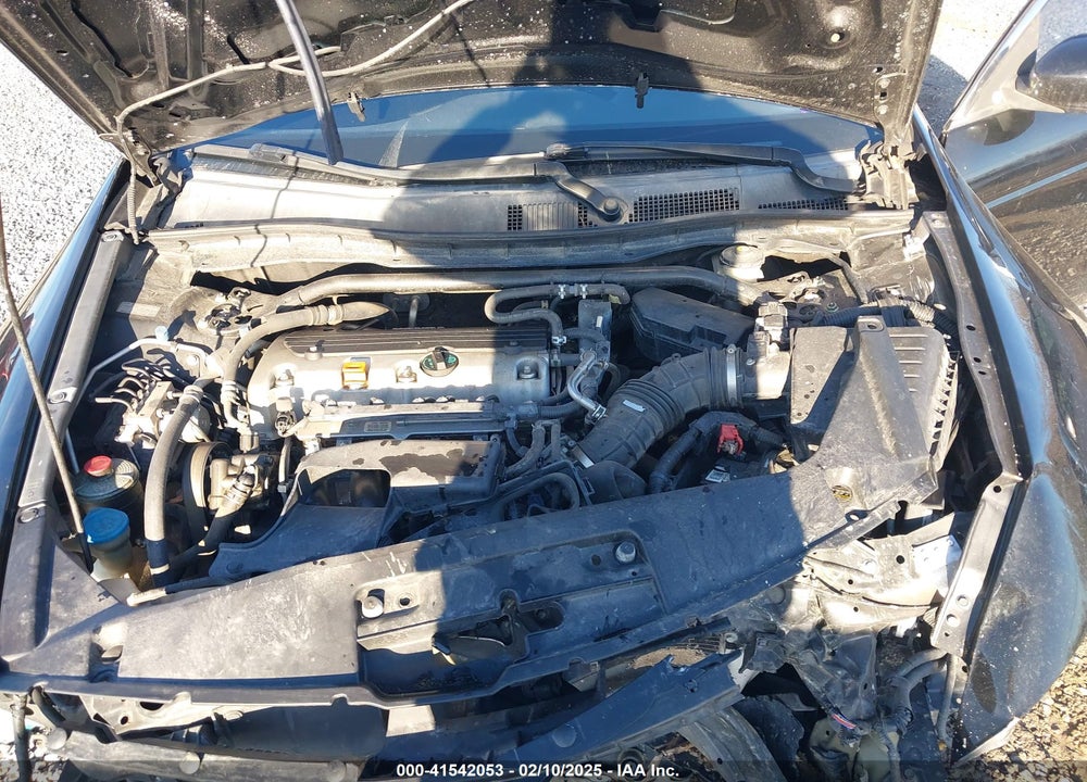 2010 HONDA ACCORD VIN: 1HGCS1B33AA004867