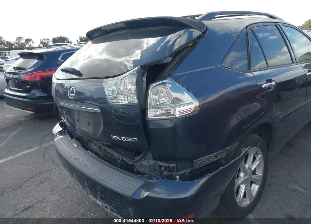 2009 LEXUS RX350 VIN: JTJGK31U699852662