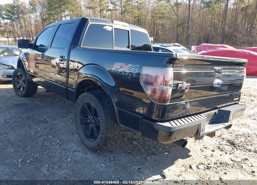2013 FORD F-150 VIN: 1FTFW1EF8DFB01589
