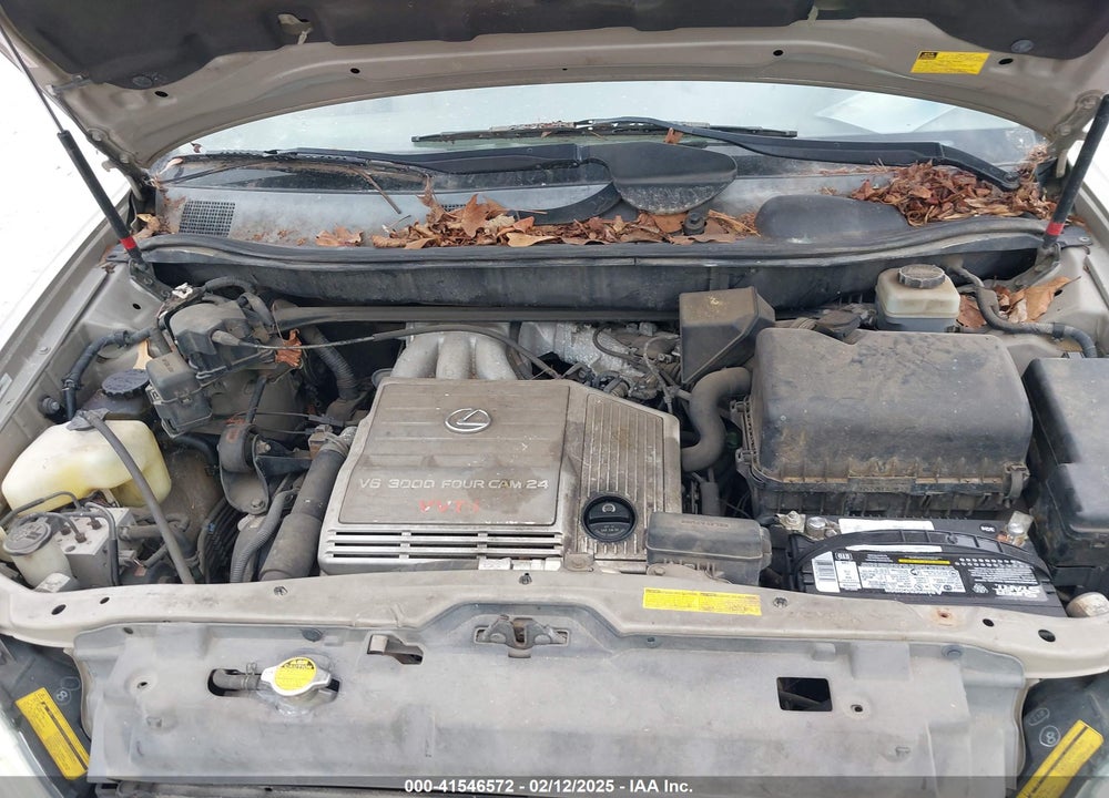 2003 LEXUS RX 300 VIN: JTJHF10U630308642