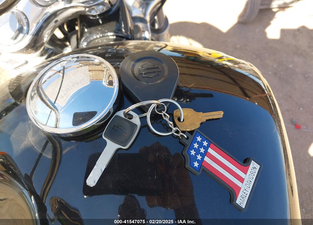 2021 HARLEY-DAVIDSON FXST VIN: 1HD1BVJ15MB042031