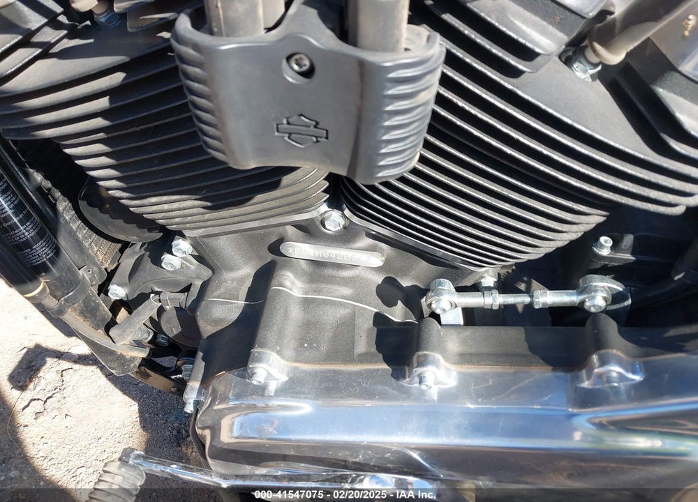 2021 HARLEY-DAVIDSON FXST VIN: 1HD1BVJ15MB042031