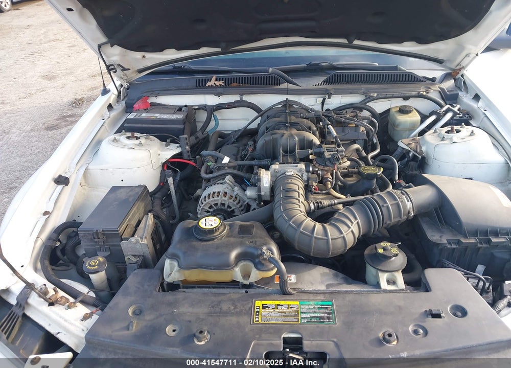 2005 FORD MUSTANG V6 DELUXE/V6 PREMIUM VIN: 1ZVFT80NX55249389