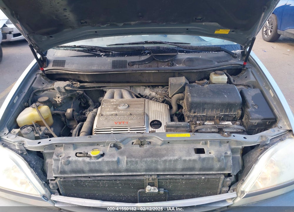 2002 LEXUS RX 300 VIN: JTJHF10U120289805