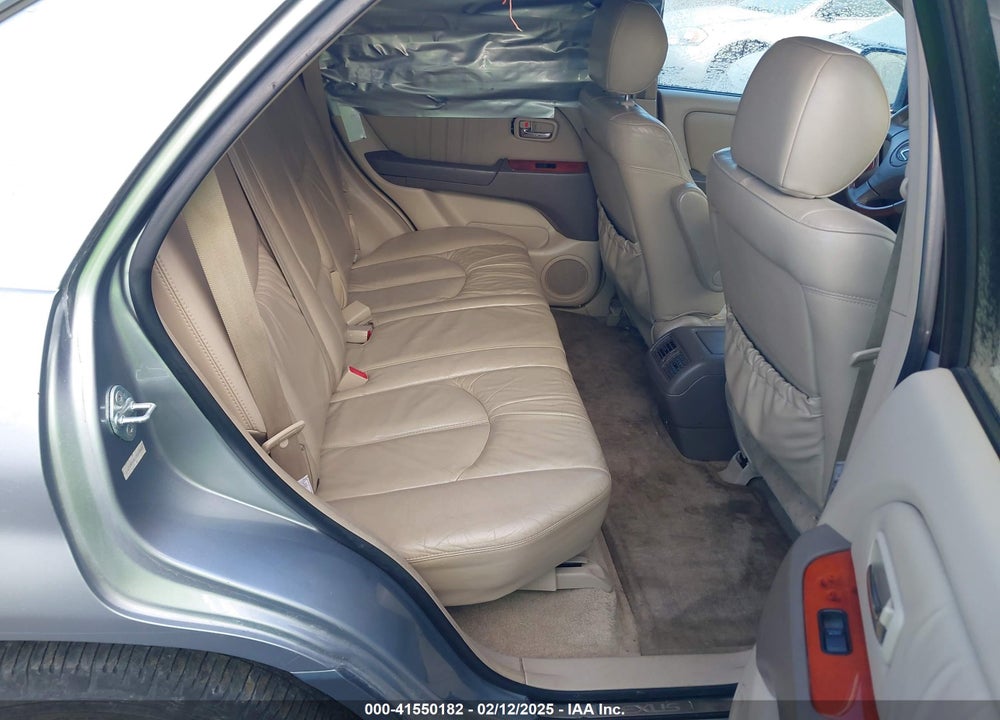 2002 LEXUS RX 300 VIN: JTJHF10U120289805