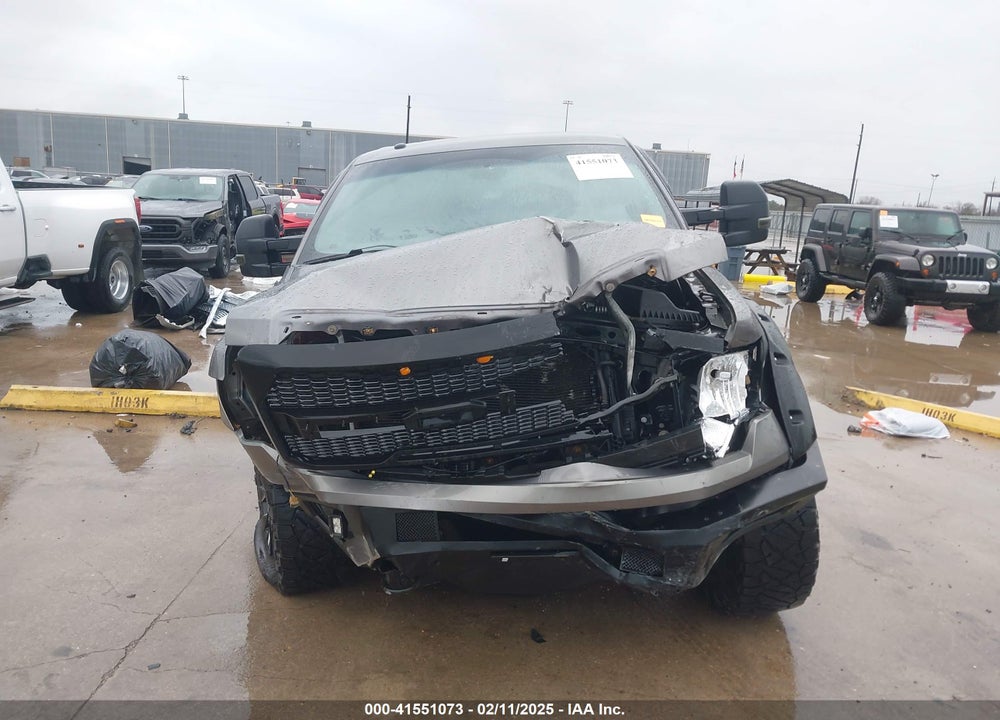 2010 FORD F-150 XL/XLT VIN: 1FTEW1E84AFC49568