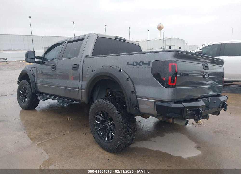 2010 FORD F-150 XL/XLT VIN: 1FTEW1E84AFC49568