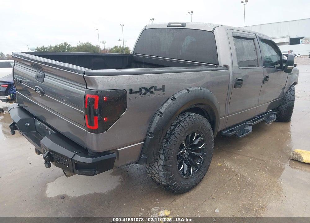 2010 FORD F-150 XL/XLT VIN: 1FTEW1E84AFC49568