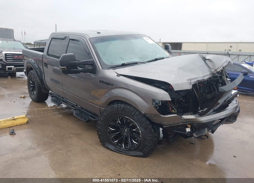 2010 FORD F-150 XL/XLT VIN: 1FTEW1E84AFC49568