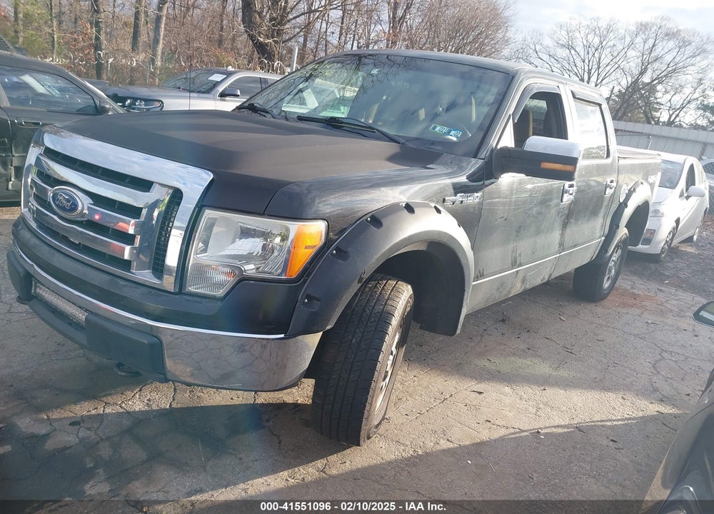 2010 FORD F-150 XL/XLT VIN: 1FTEW1E84AFB02425