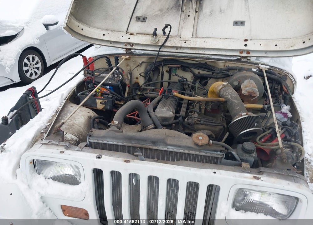 1993 JEEP WRANGLER / YJ VIN: 1J4FY29S8PP250438