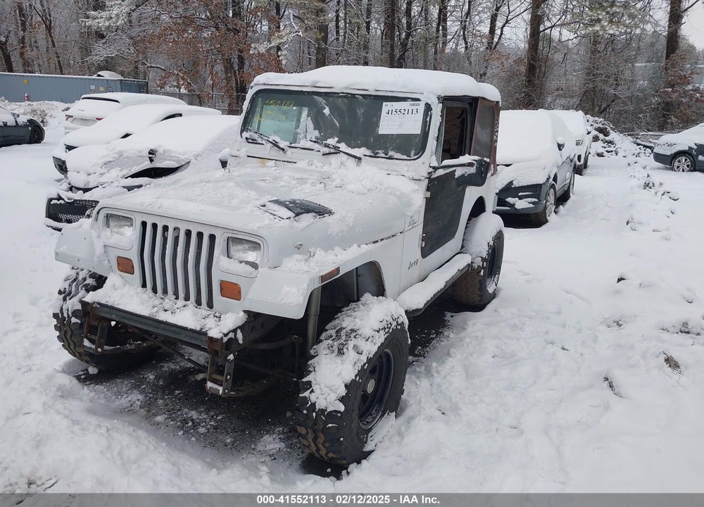 1993 JEEP WRANGLER / YJ VIN: 1J4FY29S8PP250438