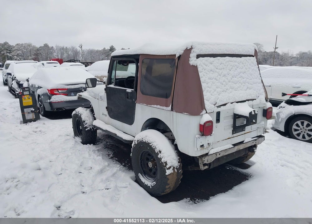 1993 JEEP WRANGLER / YJ VIN: 1J4FY29S8PP250438