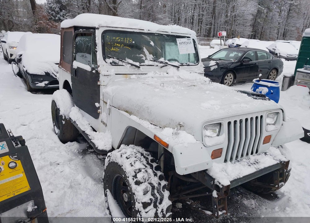 1993 JEEP WRANGLER / YJ VIN: 1J4FY29S8PP250438