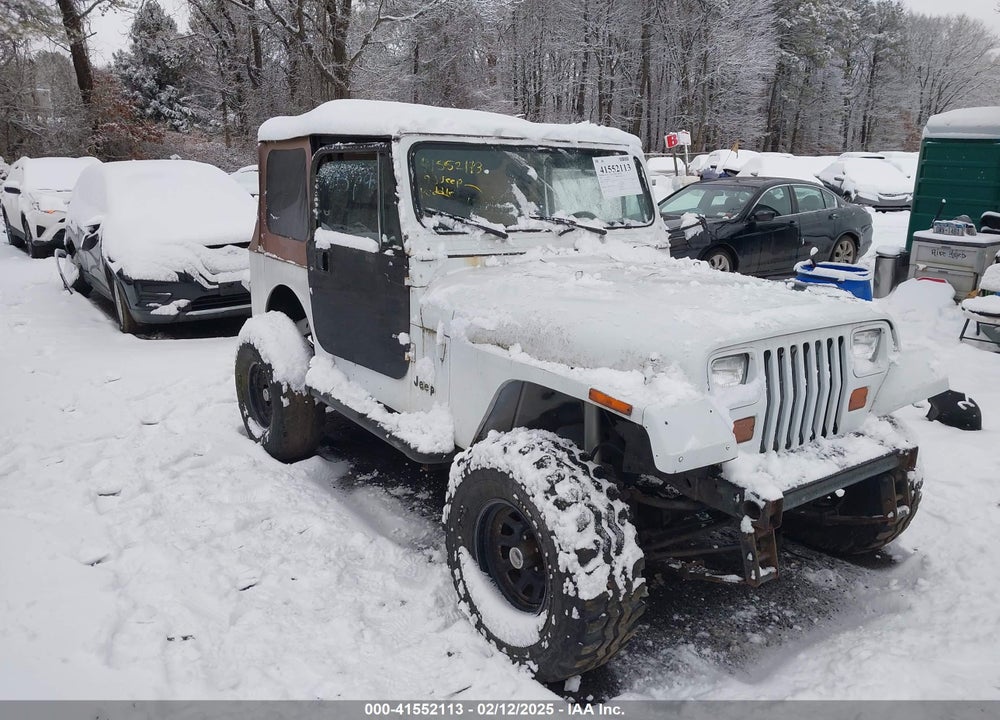 1993 JEEP WRANGLER / YJ VIN: 1J4FY29S8PP250438