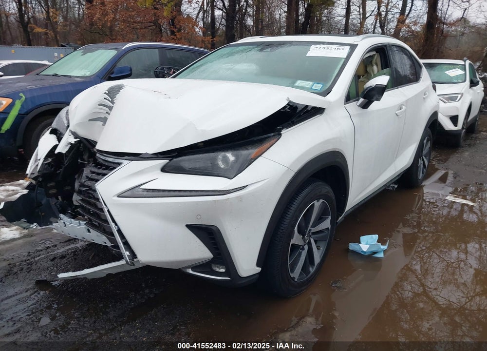 2019 LEXUS NX 300 VIN: JTJBARBZ9K2197633