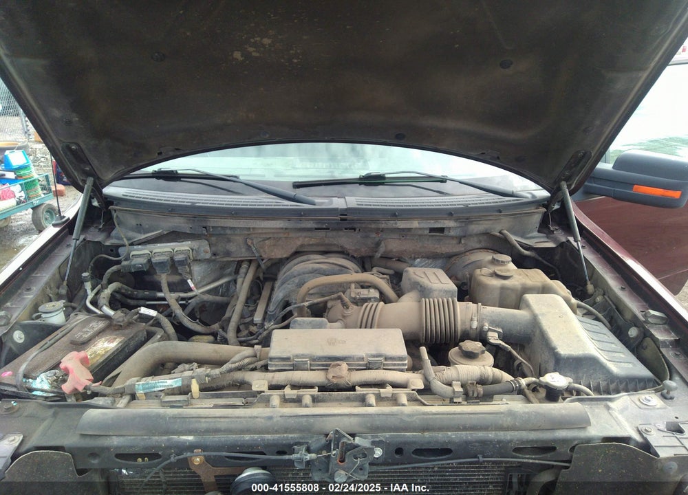 2009 FORD F-150 XL/XLT VIN: 1FTRW14849FA38644