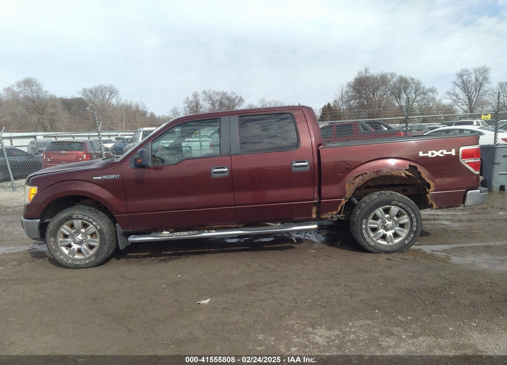 2009 FORD F-150 XL/XLT VIN: 1FTRW14849FA38644