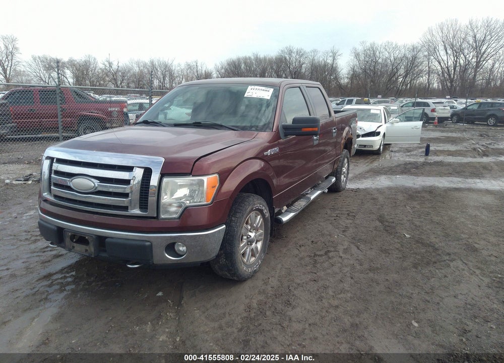 2009 FORD F-150 XL/XLT VIN: 1FTRW14849FA38644