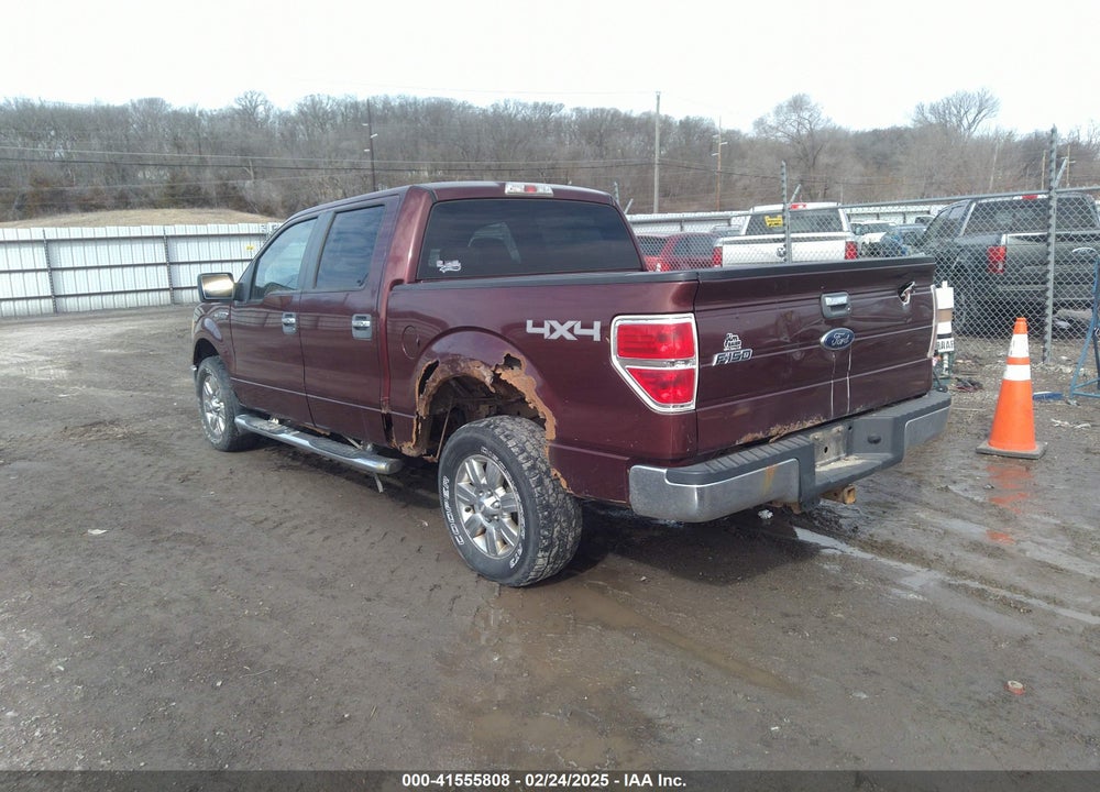 2009 FORD F-150 XL/XLT VIN: 1FTRW14849FA38644